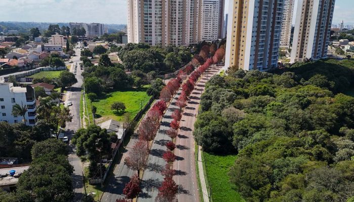 Foto: Geraldo Bubniak/AEN Previsão do Simepar é de maio mais seco e mais quente no Paraná